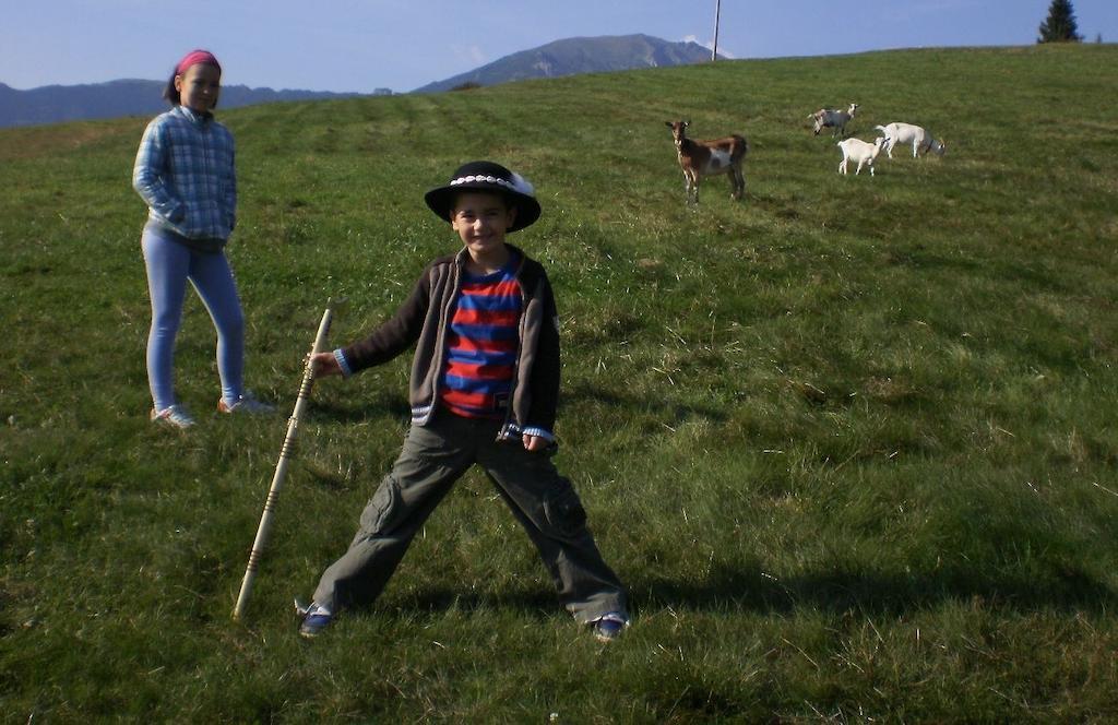 Penzion Deny Sebesér Kültér fotó